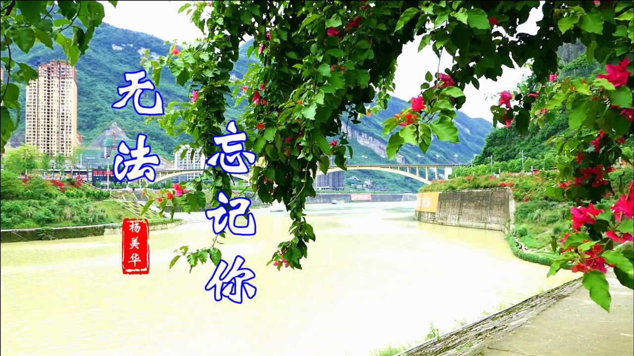 杨美华一首情歌《无法忘记你》情意绵绵,听哭了!送给你最爱的人!