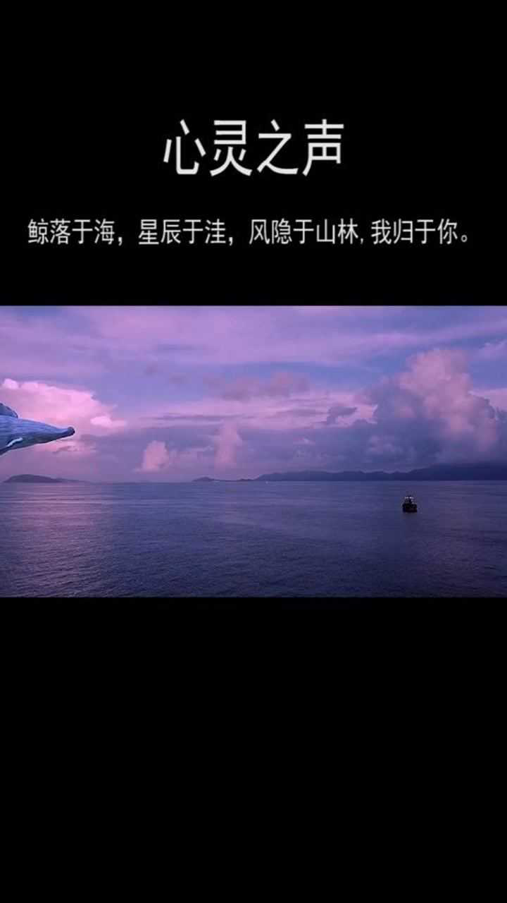 鲸落于海星辰于洼风隐于山林我归于你我要上热门