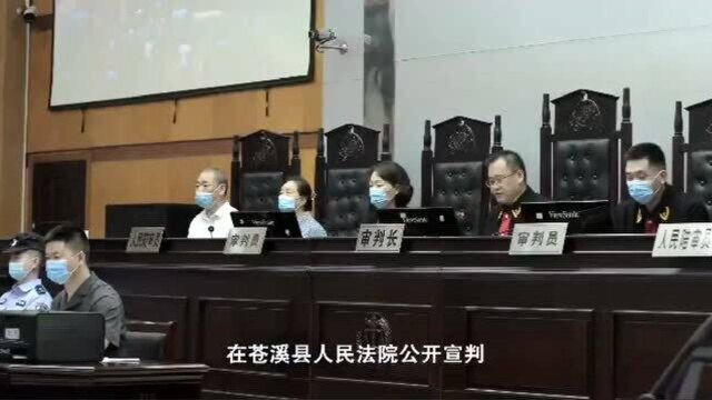 四川广元:首犯杨佳组织领导黑社会被判有期徒刑25年