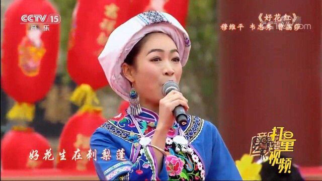 穆维平、韦忠秀等演唱《好花红》,歌声犹如天籁之音