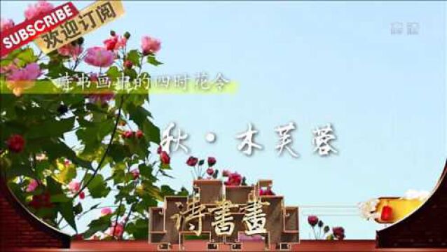 诗书画四时花令ⷧ狂𗮐Š木芙蓉 20201021