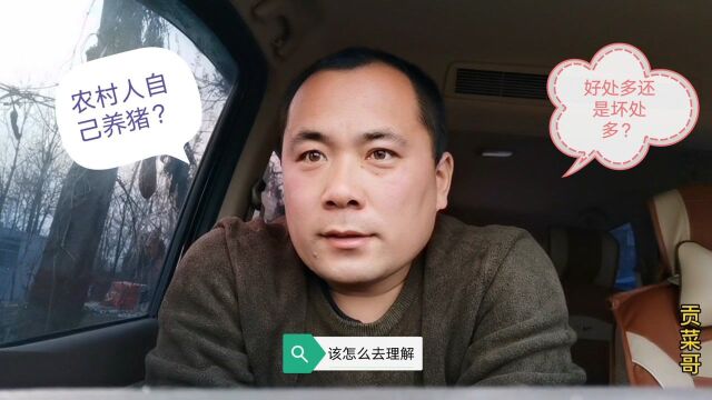 关于农村人散养猪的利弊,有人给出这样两种说法,对吗?