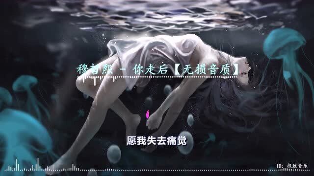 一夜爆火的网红神曲《你走后》你可曾听过?完美音质,听觉盛宴!