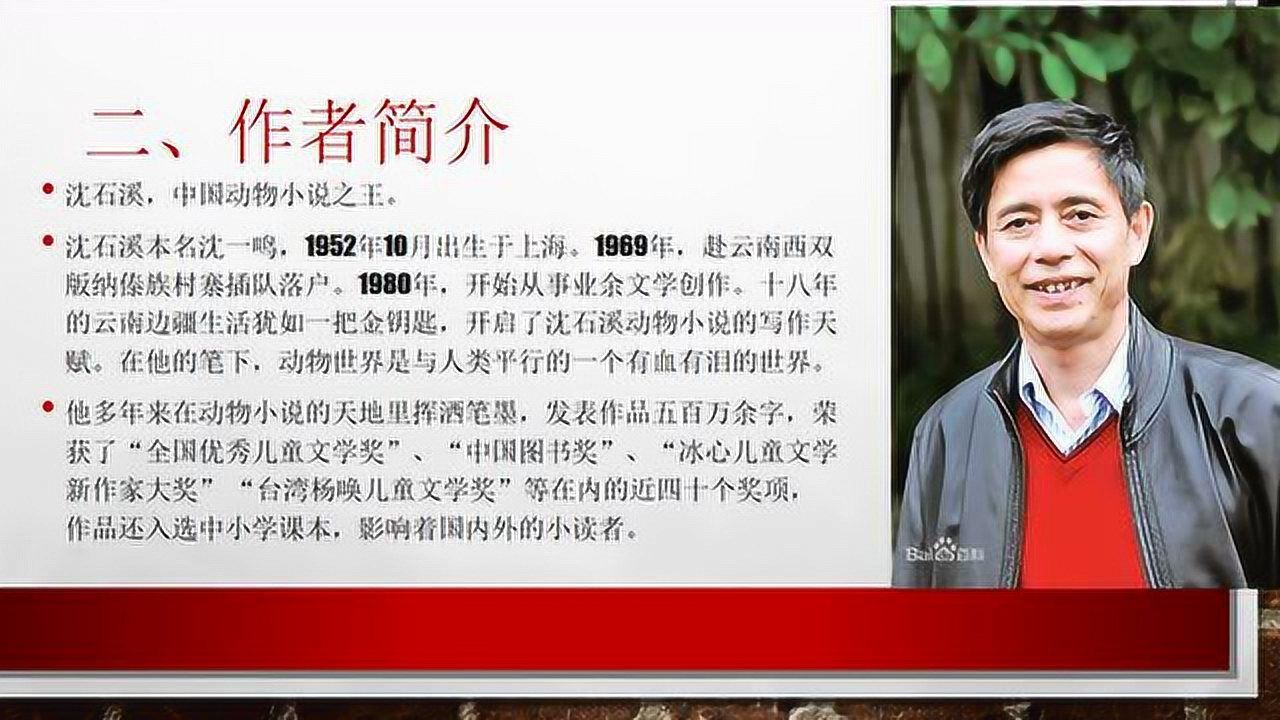 狼王梦(王子潇推荐)