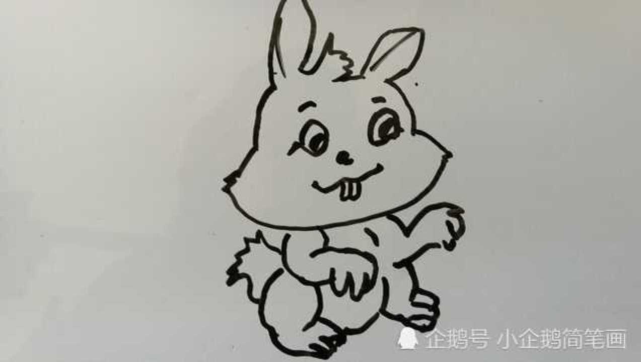 龅牙兔简笔画