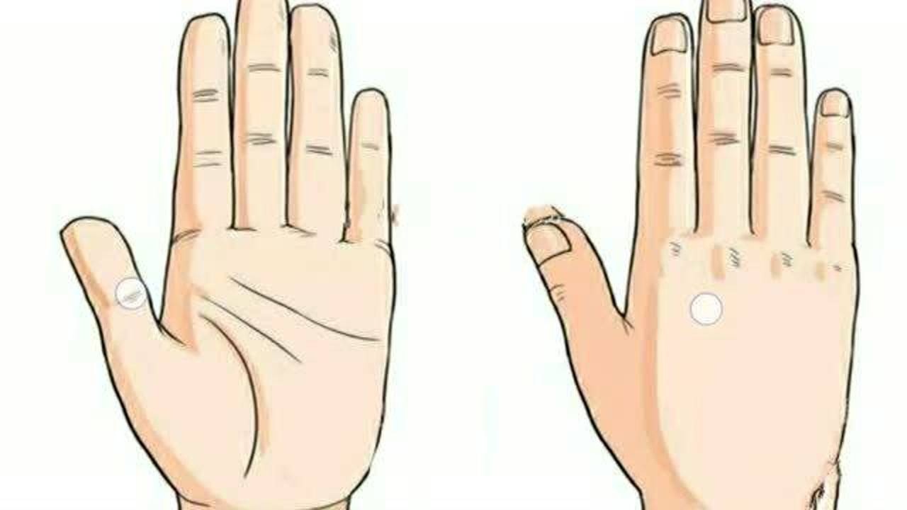 手相五行金型手工作能力强意志坚定得领导型手掌