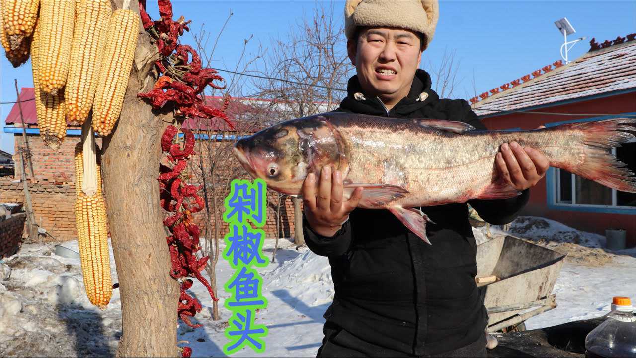 12斤大胖頭魚做剁椒魚頭,家常做法,魚頭鮮嫩爽口味道好!_騰訊視頻