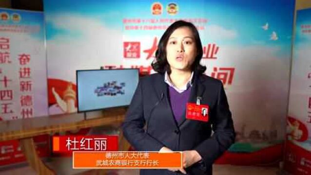 德州市人大代表杜红丽:优化金融环境 打造诚信德州