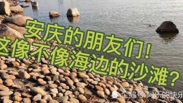 安庆莲湖是天然湖,占地千亩,15里长,连接安庆市跟枞阳县.