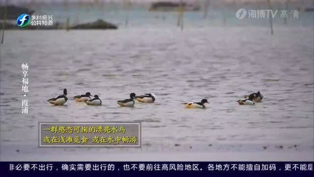 《风物福建》畅享福地ⷮŠ霞浦1