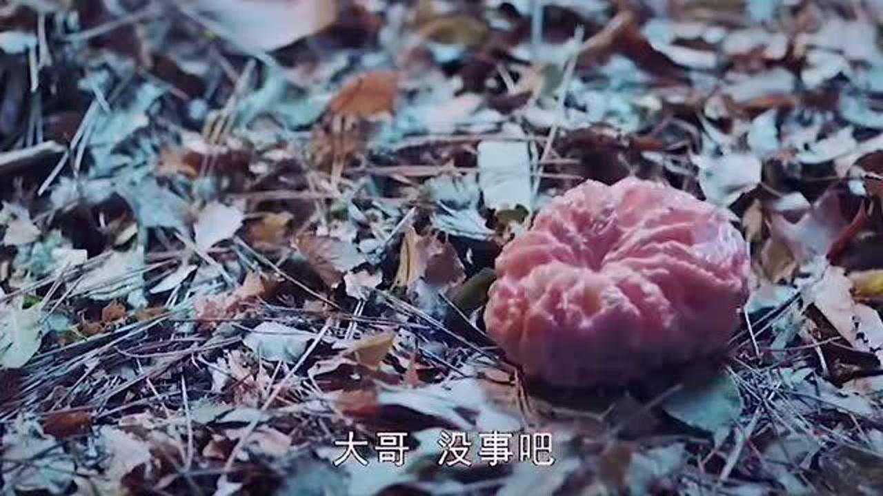 河里长出"人脑"蘑菇,只要碰到就会被寄生