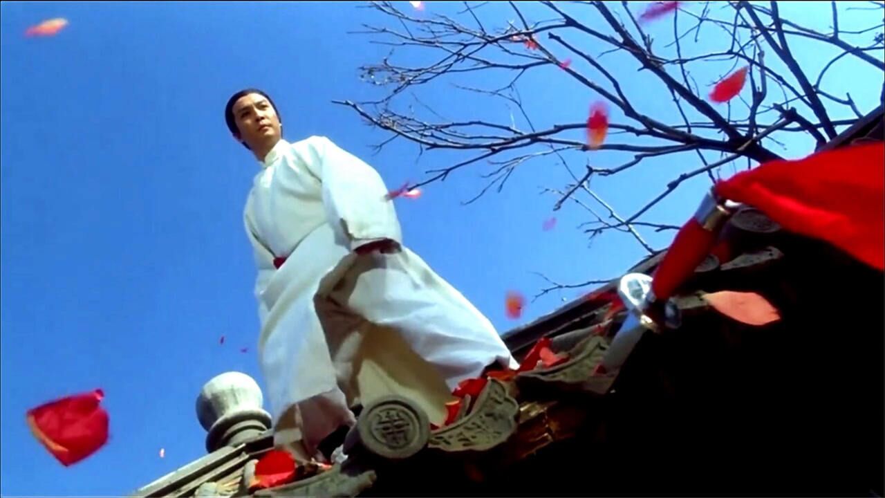 马宁儿大战陈近南,天地会总舵主也不是对手