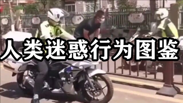 人类迷惑行为图鉴,警察叔叔总是让人猝不及防!