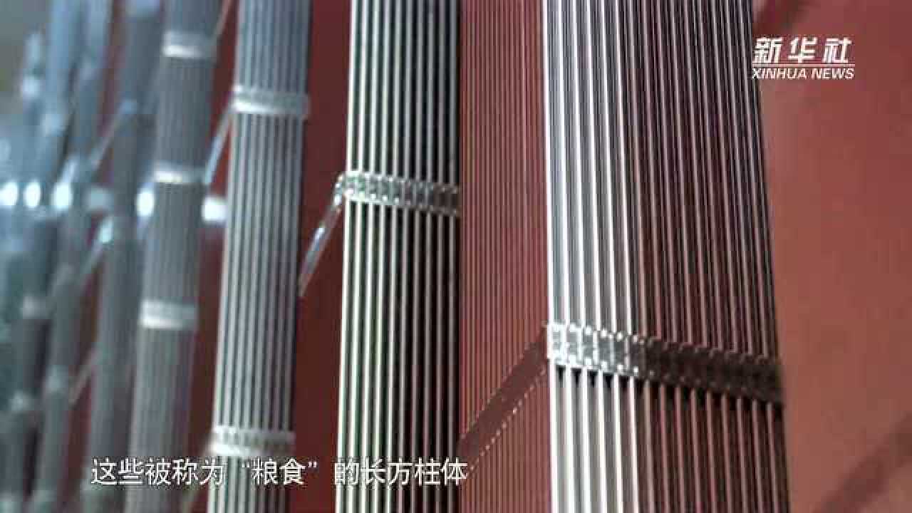 微纪录片|"华龙一号"n36锆合金诞生记