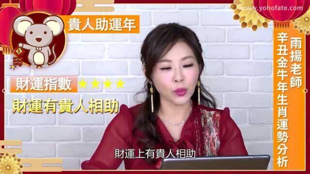 2021辛丑金牛年|十二生肖年度运势提点