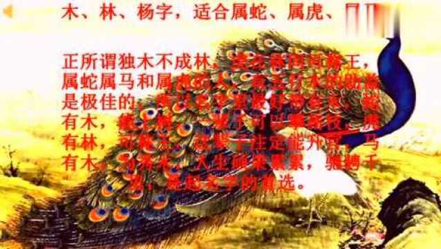 12生肖人名字里带有哪些字,命不平凡,大富大发