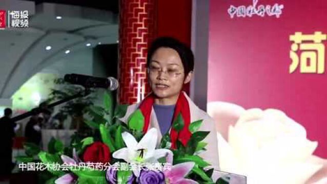 “云端”赏花 菏泽市首届新春佳节牡丹云展成功举办