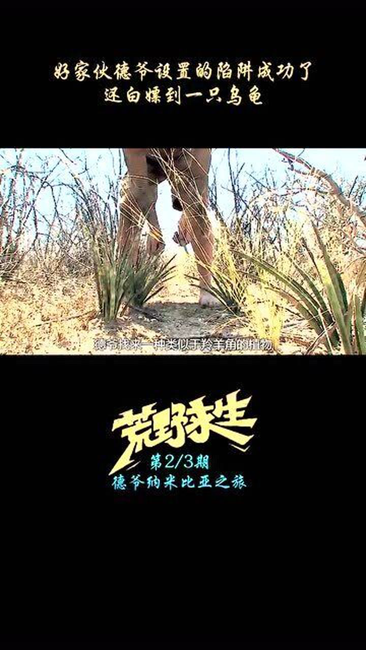 单挑荒野第1季s2期德爷今天将向大家传授独家捕鸟绝技成功几率超级高