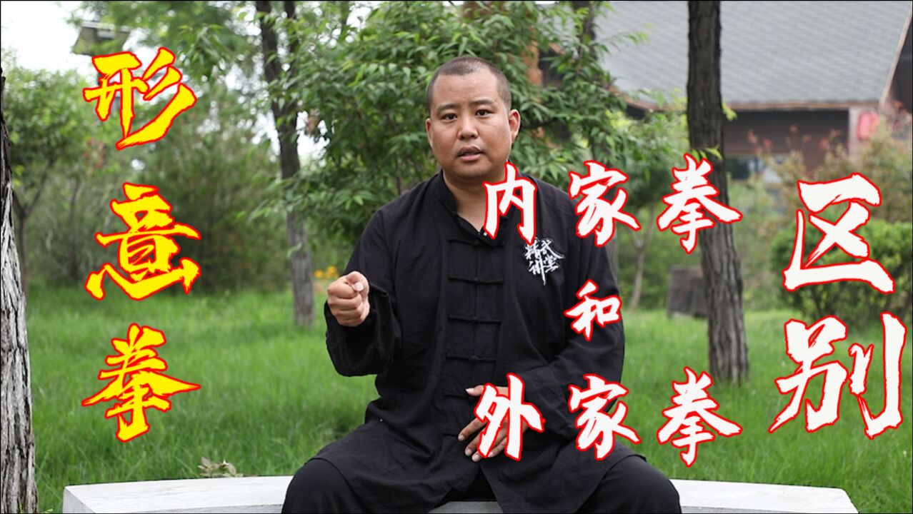 形意拳传人来解析
