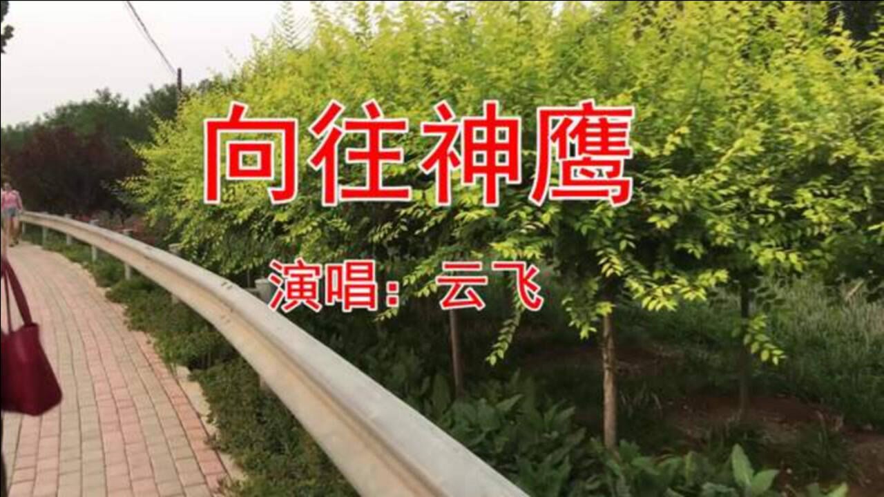 云飞一首向往神鹰悠扬悦耳甜美醉人绝对是高原天籁之音