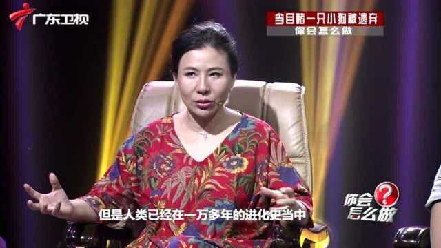 实拍:看见出生小狗被遗弃路边,你会抱走领养吗?