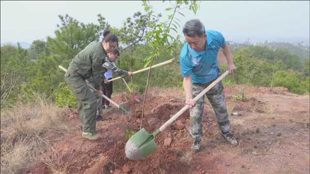 2.241赣县区四套班子领导开展义务植树活动