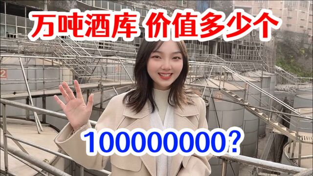 万吨酒库价值多少个100000000?贵州美女为你解答,看完不要吃惊