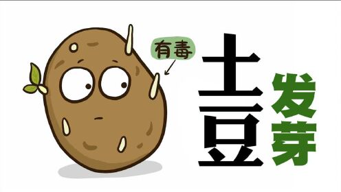 花小烙科普小课堂_【科普】吃了发芽的土豆为什么会中毒？_【科普】吃了发芽的土豆，为什么会中毒？_高清完整版视频在线观看_腾讯视频
