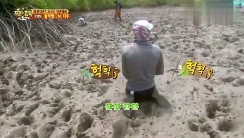 金炳万的丛林法则：韩国人在泥地里抓螃蟹，这些螃蟹的个头还挺大