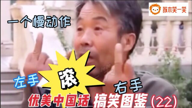 大爷:左手右手一个慢动作,滚!优美中国话爆笑图鉴 第22期