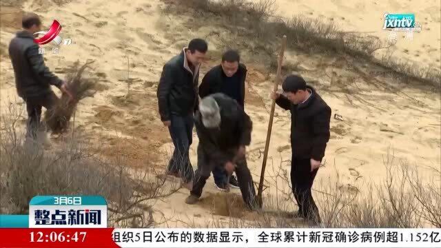 都昌:沙山种植蔓荆子 为鄱湖添绿