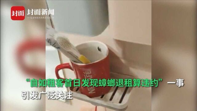 自如租客发现蟑螂退租算违约事件后续:平台不扣押金并无责退租