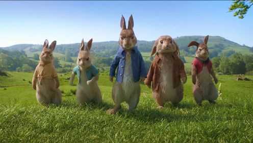 五只强悍的小兔子，战斗力比人类还要强，搞笑动物电影