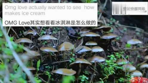 老外在中国：youtube网友观看李子柒制作冰激凌：“哇，真羡慕你家大花园”