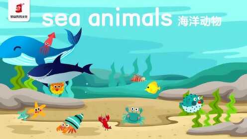 第16集.海洋动物sea animals(1）