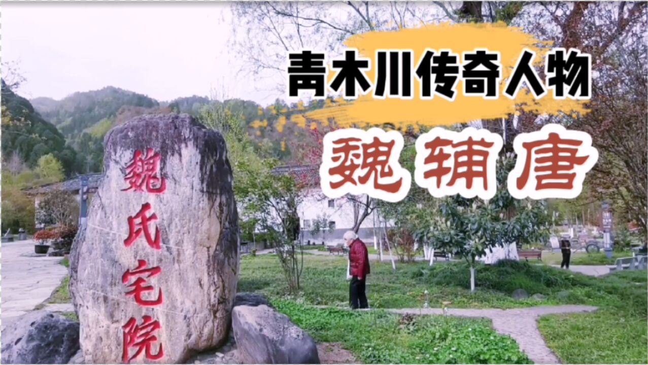 青木川一代枭雄魏辅唐的长子性情温和,现如今在古镇上卖书为生