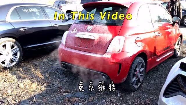 美国小伙到“事故车”拍卖公司选车,看了多辆跑车,网友:美国事故车是真的多!