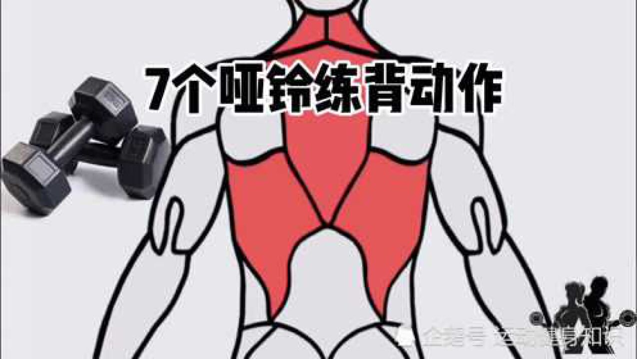 [在家练]7个哑铃练背动作，在家练出强壮背部_高清1080P在线观看平台_腾讯视频