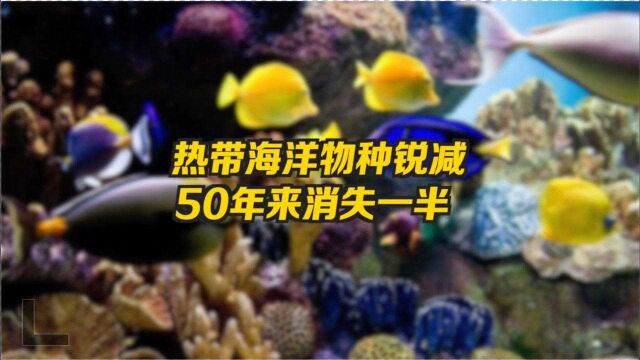 气候变化危及热带海洋生物 近半个世纪物种锐减近半