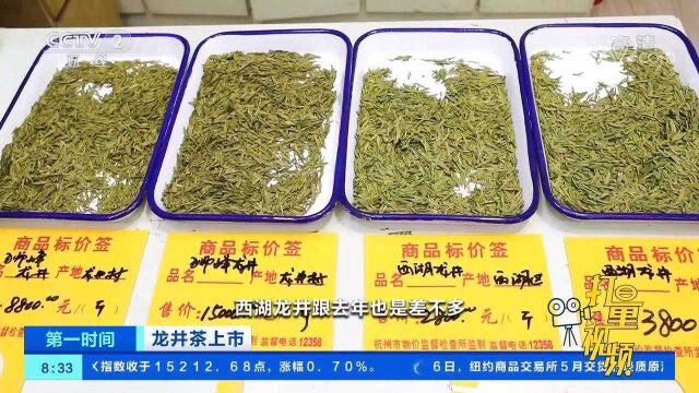 龙井茶上市,同是龙井茶,为何价格差异如此之大?