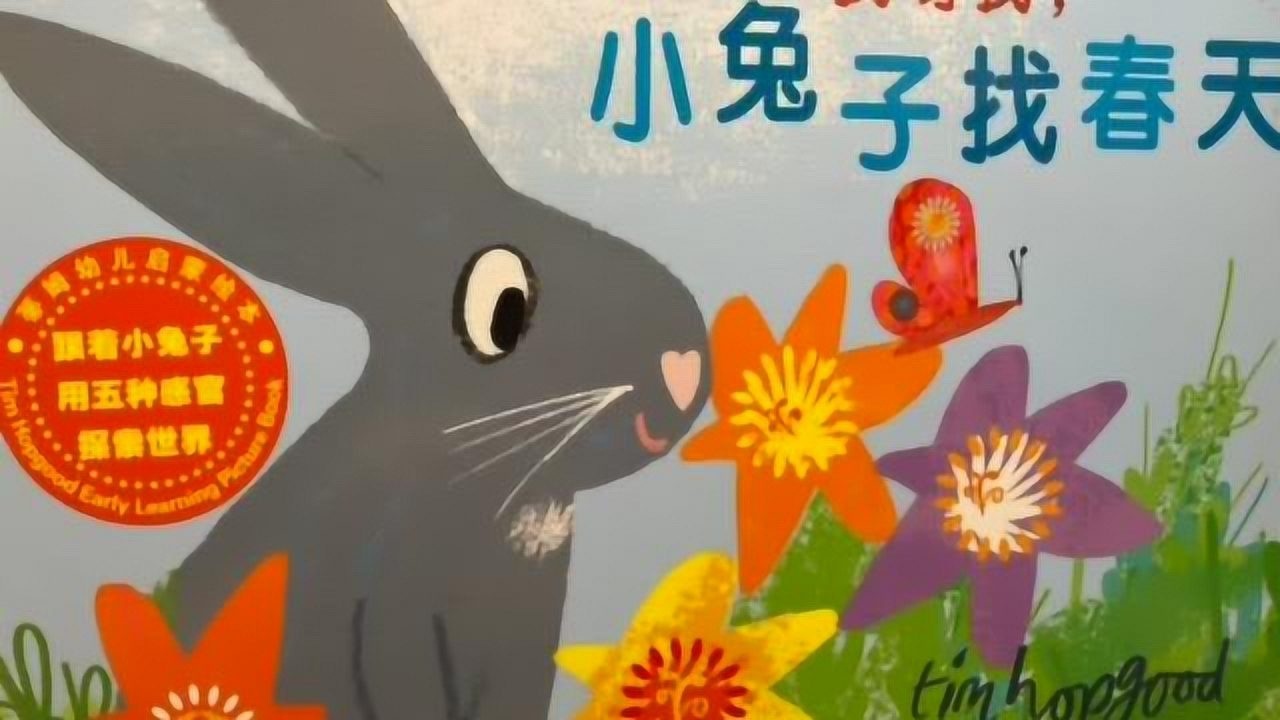 小兔子找春天绘本内容图片