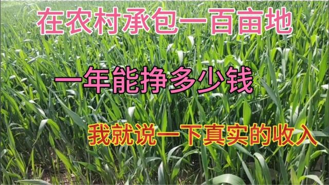 在农村承包100亩土地 ,一年能挣多少钱 ,今天我就给大家说一下