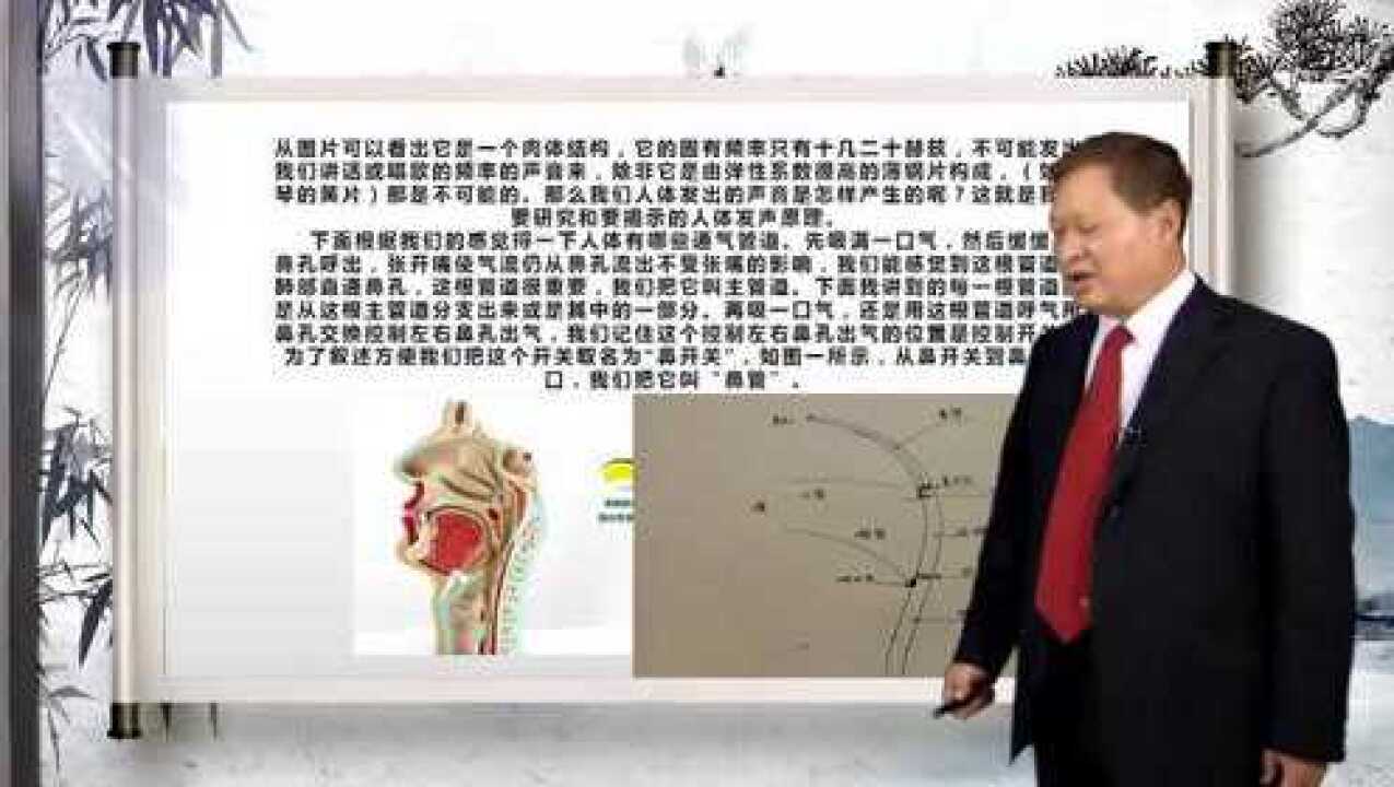 人体发声原理新发现修正版_腾讯视频