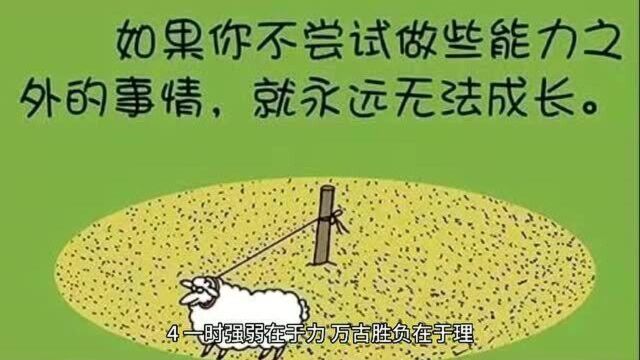 人生哲理谚语一