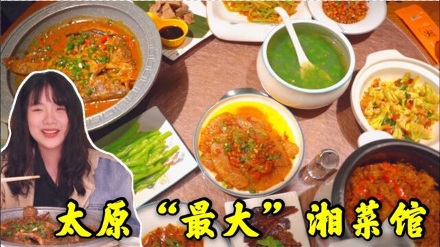 太原“最大”正宗湘菜馆,20年老厨师掌勺,人均50吃10道菜,绝了