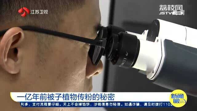 中科院研究员最新研究 一亿年前被子植物传粉的秘密大公开