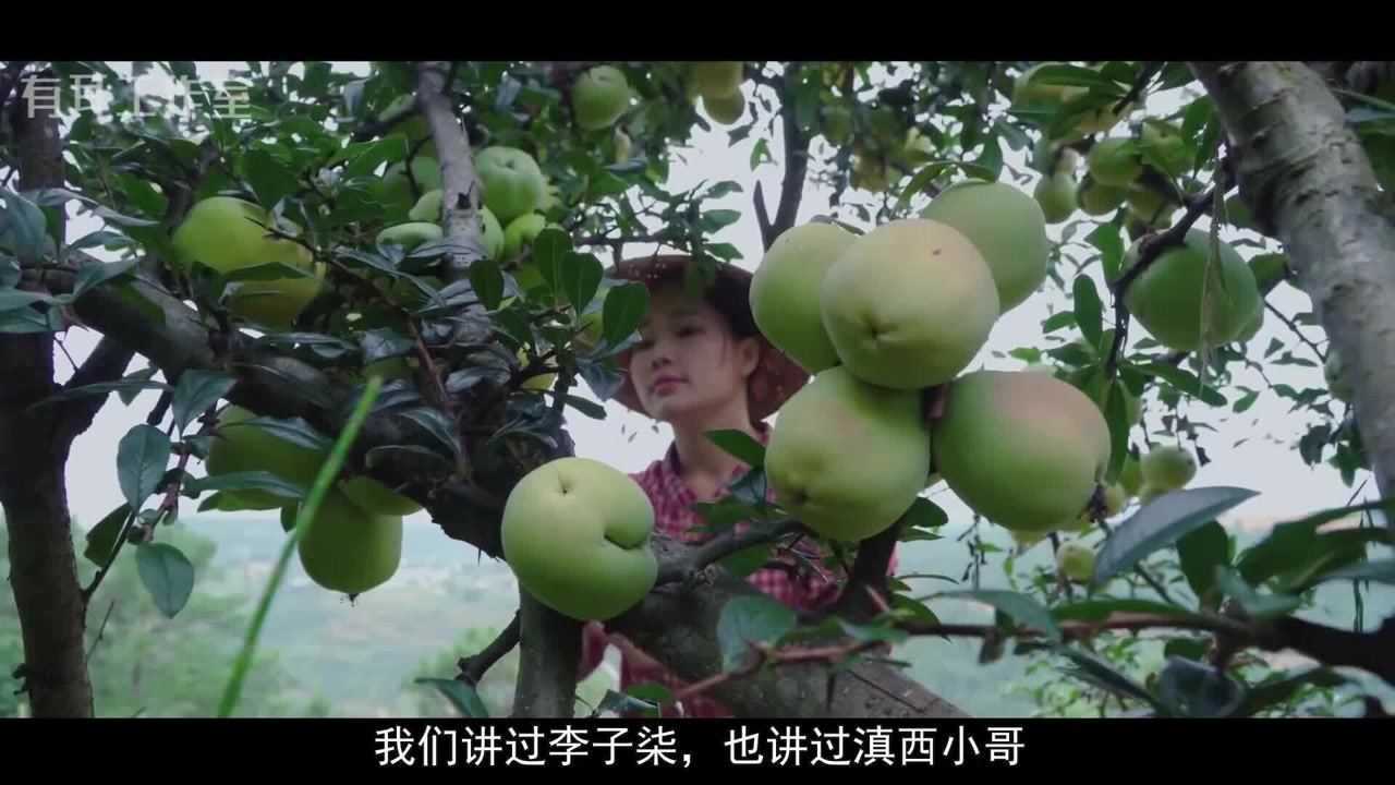 解说人物李子柒滇西小哥身世身价结婚状况背后高手作品相似度深度解析