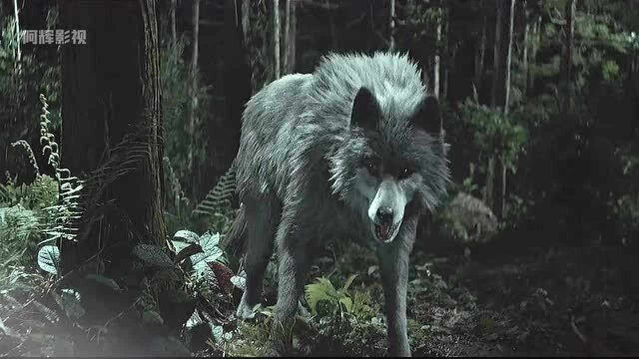 《兴安岭猎人传说》大兴安岭猎人不打猎,竟然开始破案了