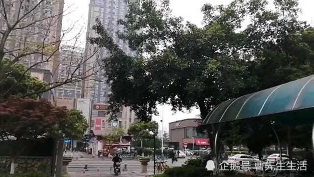 细雨霏霏中的江安河温江段,空气清新,风景非常漂亮