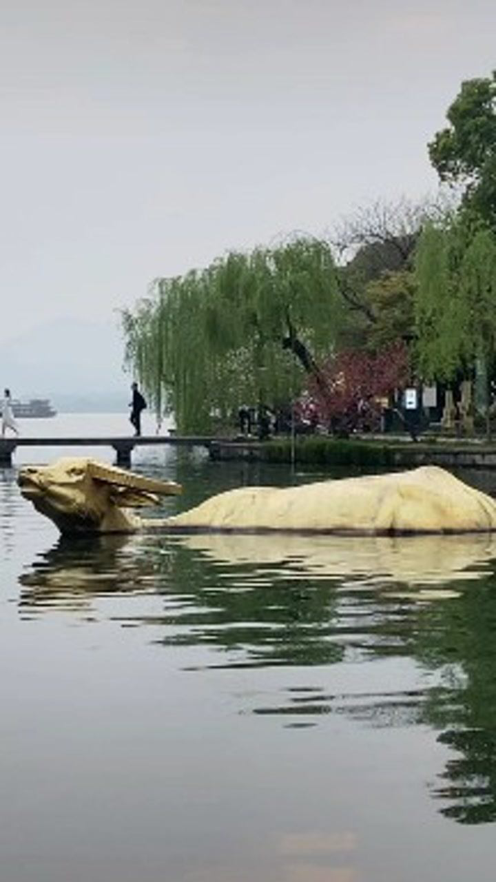 西湖风景区金牛出水